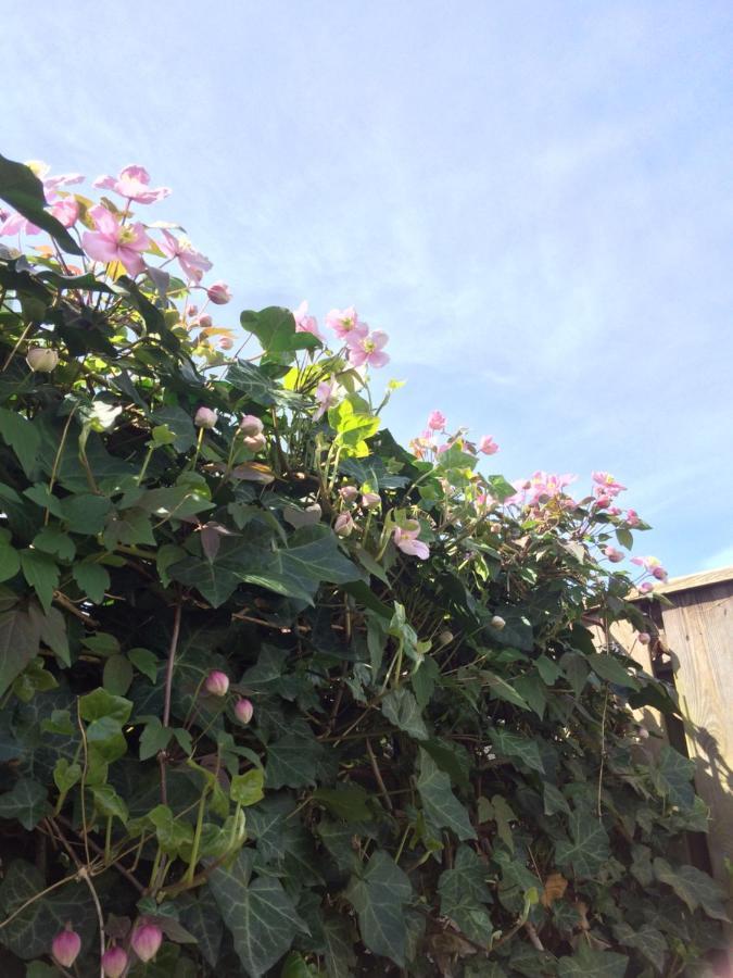Bed & Breakfast Yerseke Exterior foto